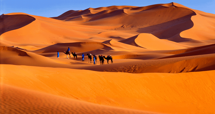 Erg-chebi-camel-trekking-large | Private Morocco Tours