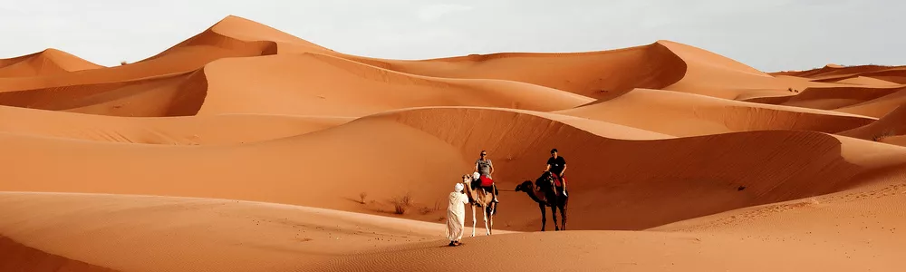 Morocco tour packages camel ride