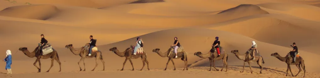 Camel caravan with riders on the dunes near Zagora, Morocco