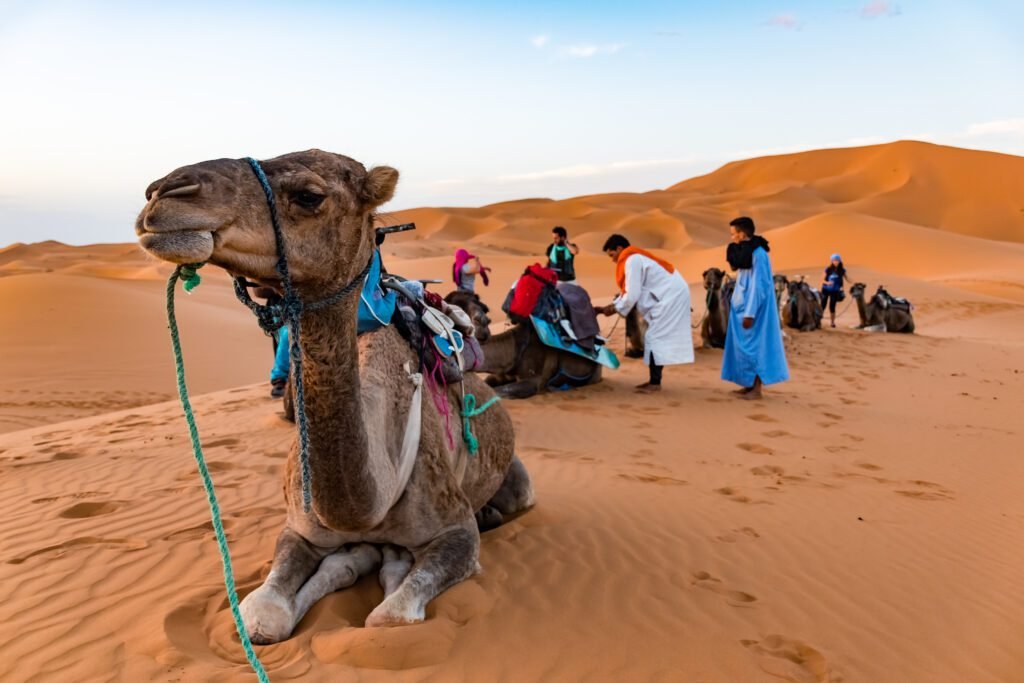 A Berber guide in traditional dress leads travelers through the Moroccan desert.