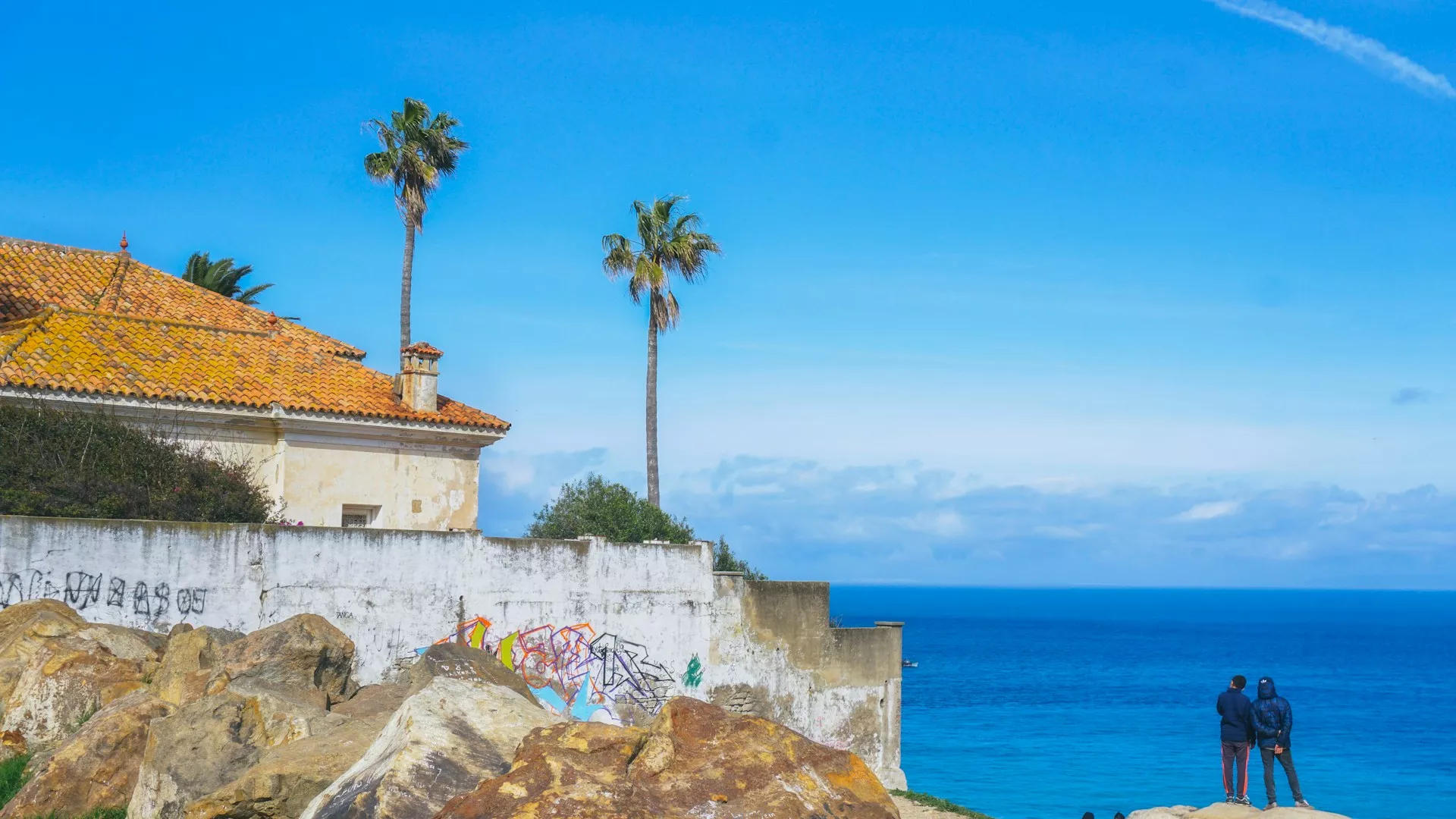 Coastal walls and palm trees on the Tangier seafront, Morocco