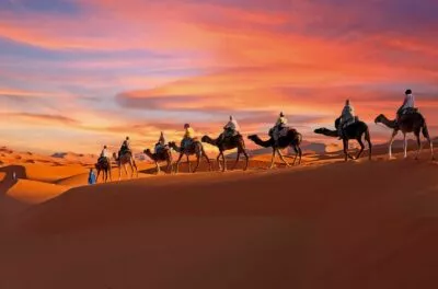 Camel caravan silhouetted on the dunes at sunset in the Sahara, Morocco