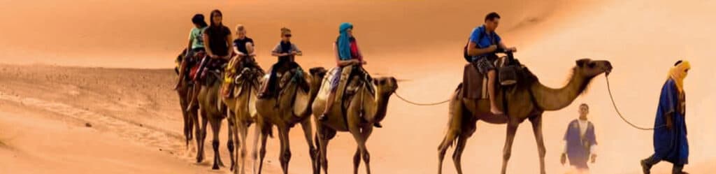 Morocco camel tours