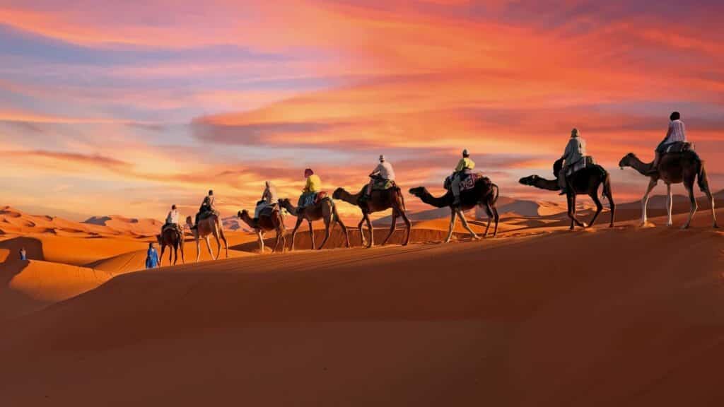 Camel tours desert Morocco