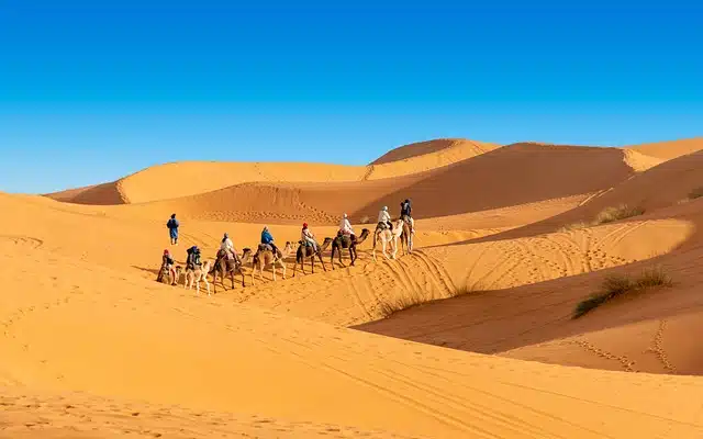 Camel riders crossing the Erg Chebbi dunes at Merzouga