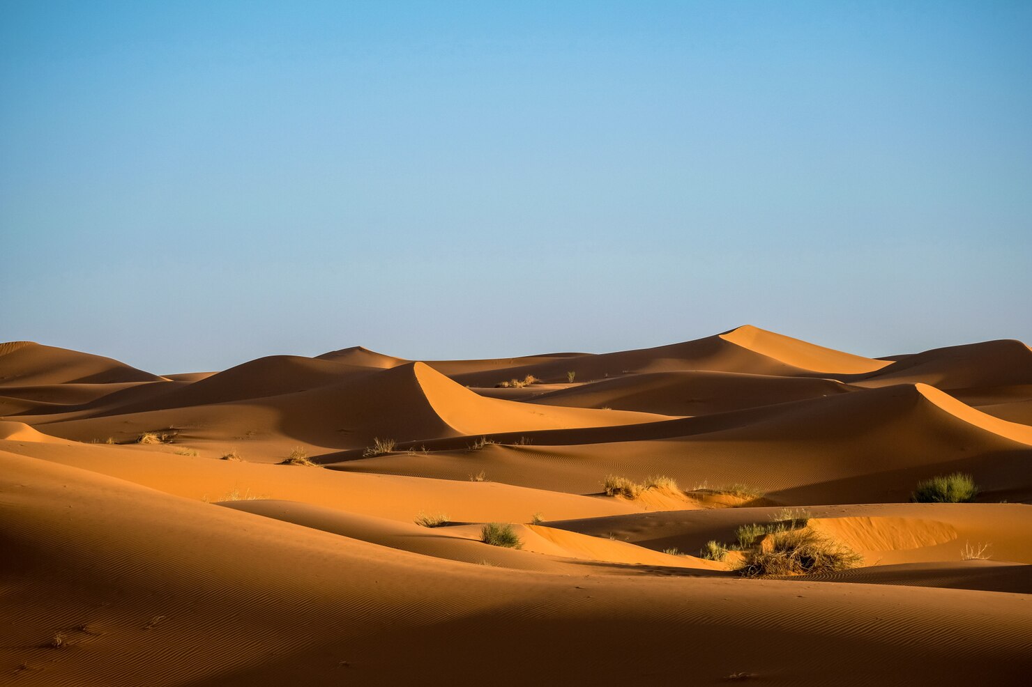 Marrakesh To Desert Tour