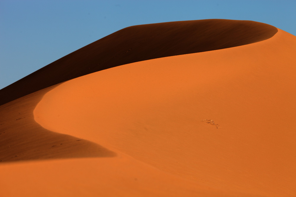 Marrakesh To Desert Tour Night in Luxury Camp