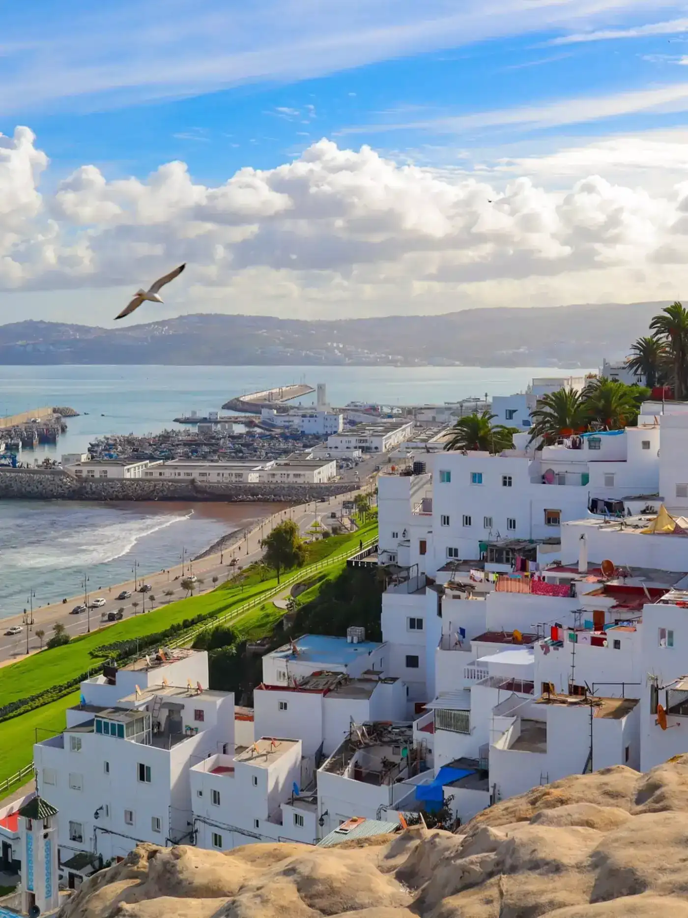 Whitewashed houses of the Tangier medina above the bay and harbour, northern Morocco